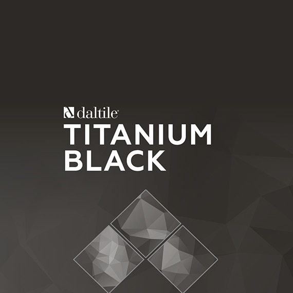 Daltile Titanium Black