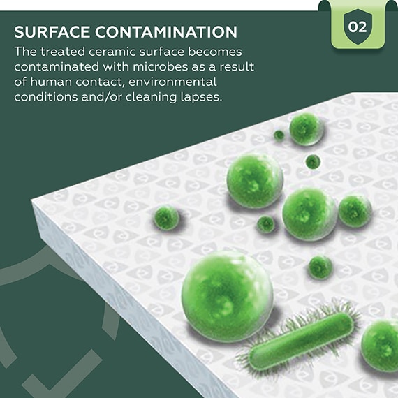 Surface contamination. The treated ceramic surface becomes contaminated with microbes as a result of human contact, environmental conditions and/or cleaning lapses.