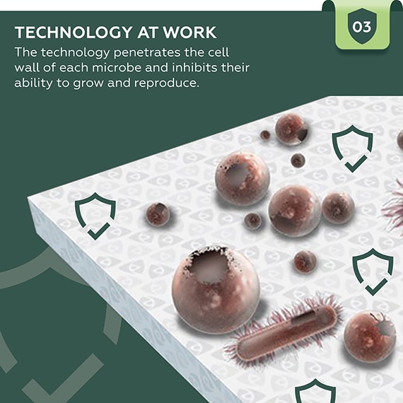 Technology at work. The technology penetrates the cell wall of each microbe and inhibits their ability to grow and reproduce.